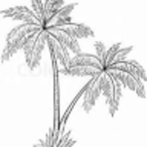 Meet your Posher, Leili